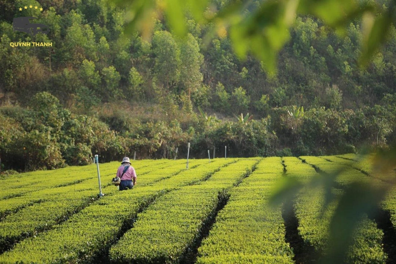 Những trải nghiệm thú vị không thể bỏ lỡ khi ghé thăm Bản Ven