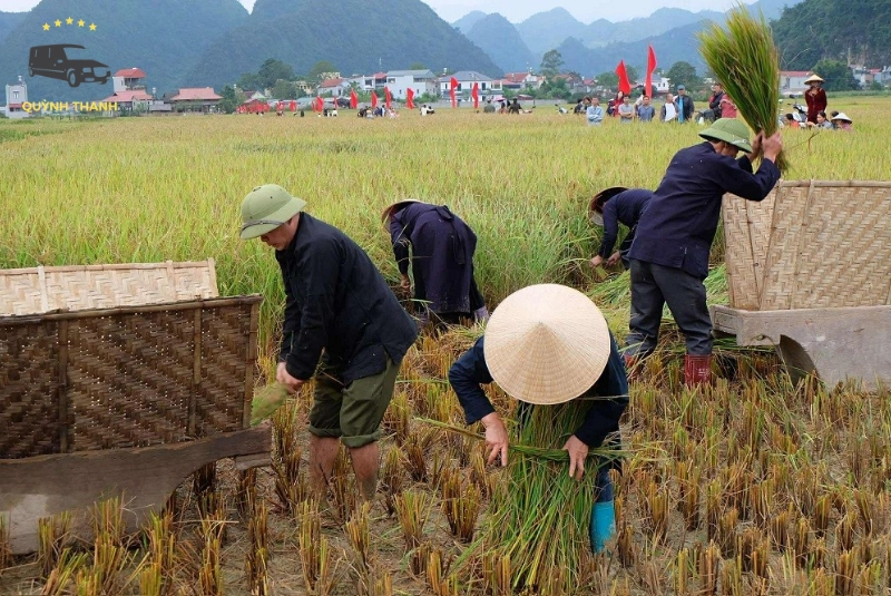 Trải nghiệm nếp sống bản địa