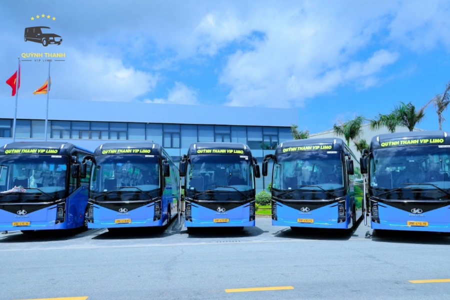 Kinh Nghiệm Du Lịch Trà Cổ Móng Cái: Lộ Trình, Loại Xe Và Lưu Ý Về Điểm Đón 