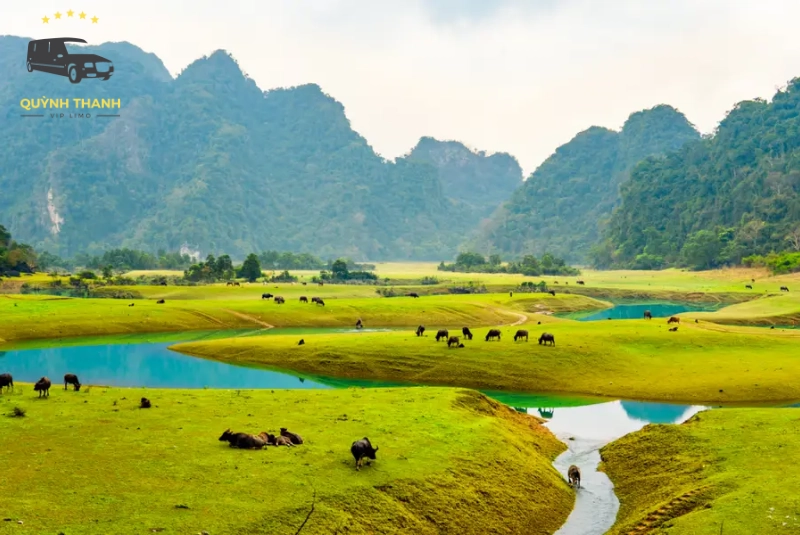 Chụp ảnh tại các cánh đồng hoa và ruộng lúa