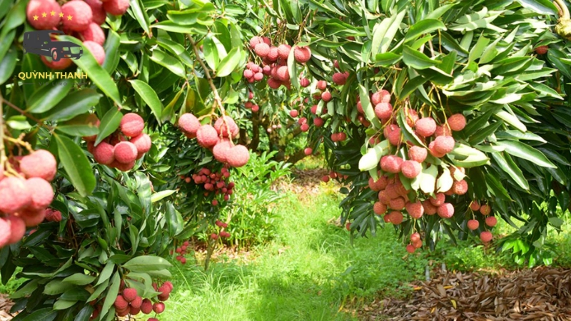 Khám phá văn hóa và ẩm thực địa phương