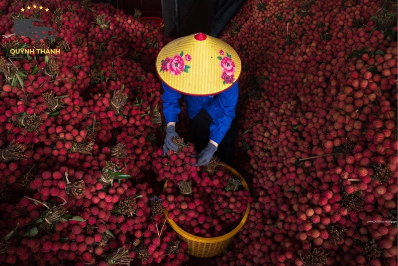 Đặc sản Lục Ngạn