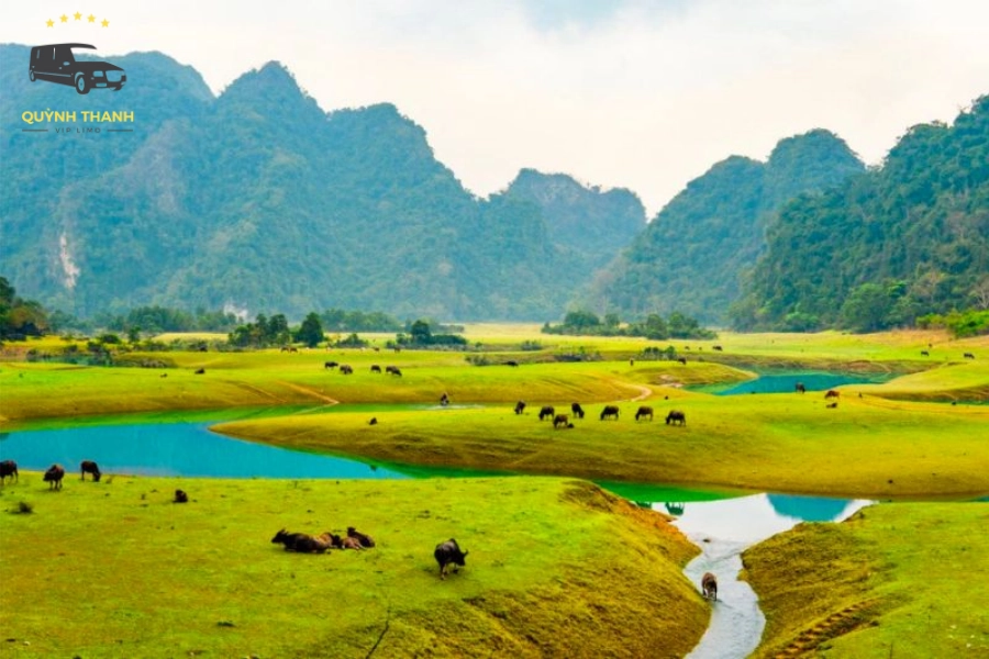 Kinh Nghiệm Du Lịch Hữu Lũng Lạng Sơn Chi Tiết Mới Nhất