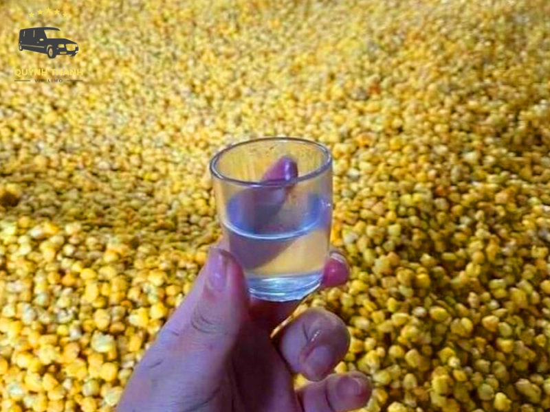 Rượu ngô nếp
