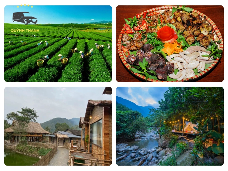 Ẩm thực và dịch vụ lưu trú