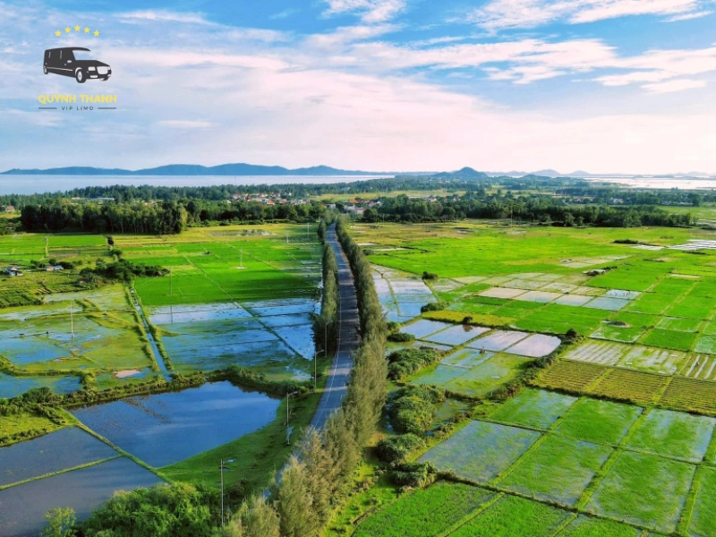 bình ngọc móng cái