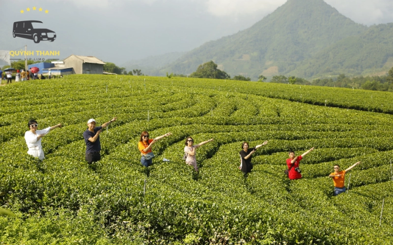 Các hoạt động trải nghiệm độc đáo tại đồi chè