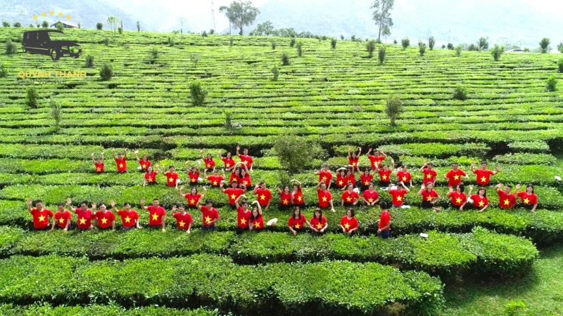 Kinh nghiệm du lịch Đồi chè Tân Cương trọn vẹn