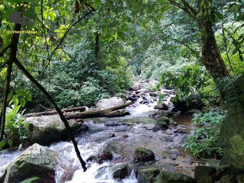 Tận hưởng dòng nước mát lạnh tại các thác nước hùng vĩ