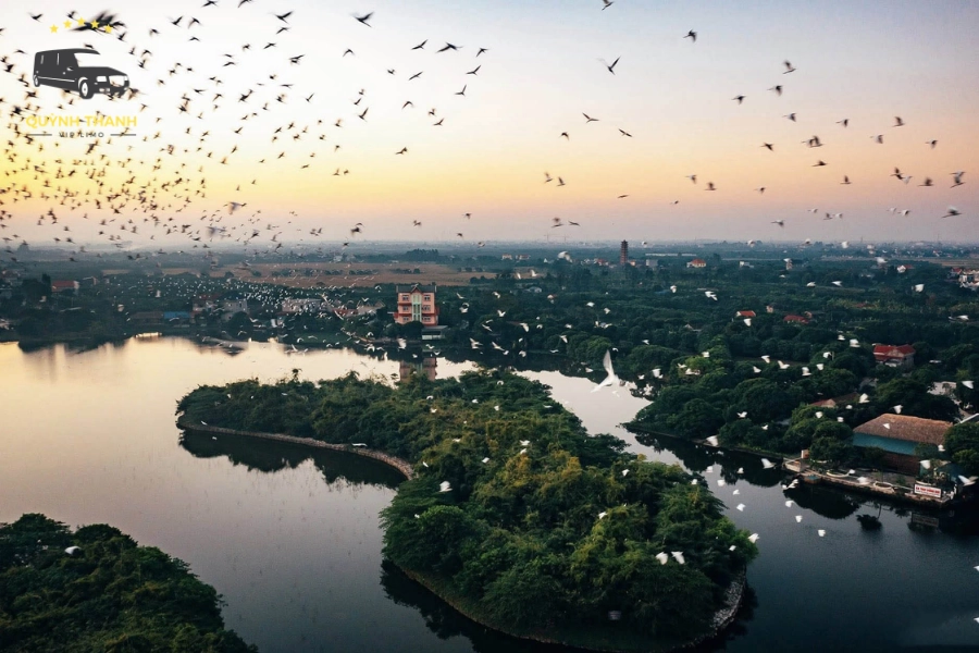 Kinh Nghiệm Du Lịch Đảo Cò Chi Lăng Nam Hải Dương Chi Tiết Từ A-Z