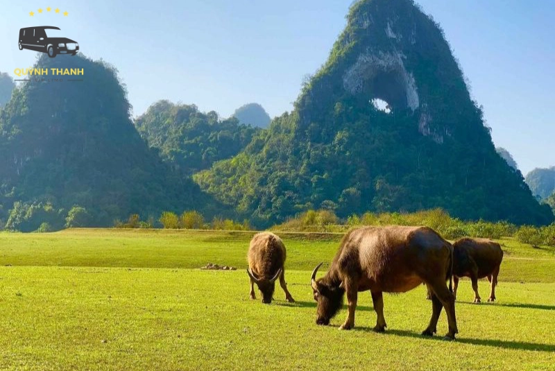 Kinh nghiệm du lịch Cao Bằng 3 ngày 2 đêm chi tiết