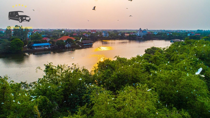Thời điểm lý tưởng để khám phá Đảo Cò
