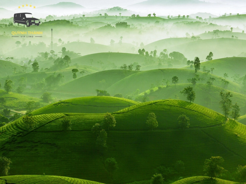 Kinh nghiệm du lịch Tân Cương Thái Nguyên trọn vẹn