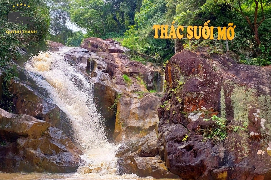 Kinh Nghiệm Du Lịch Suối Mỡ Bắc Giang Tự Túc Chi Tiết Mới Nhất