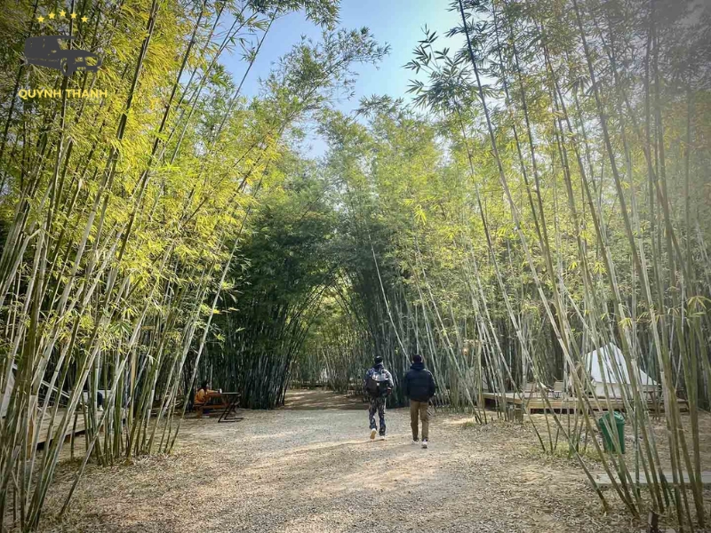 Thời điểm đẹp nhất để lên kế hoạch du lịch Bản Ven trong năm