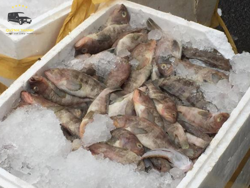 Cách bảo quản