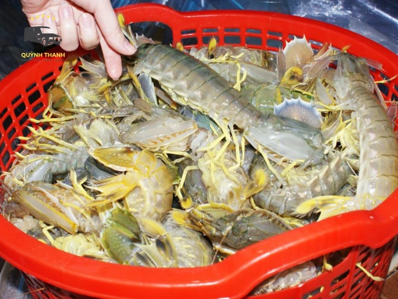 Gợi ý thực đơn và khung giá tham khảo khi ăn hải sản Móng Cái