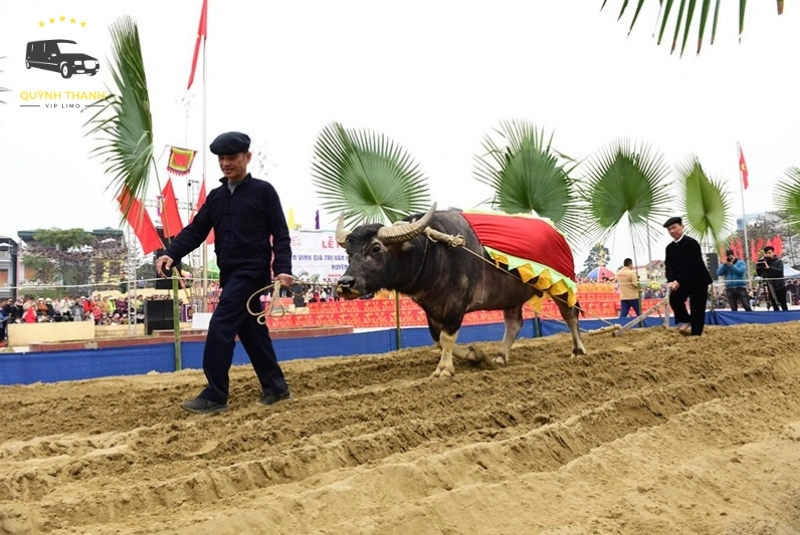 Tham gia lễ hội Lồng Tồng (lễ xuống đồng)