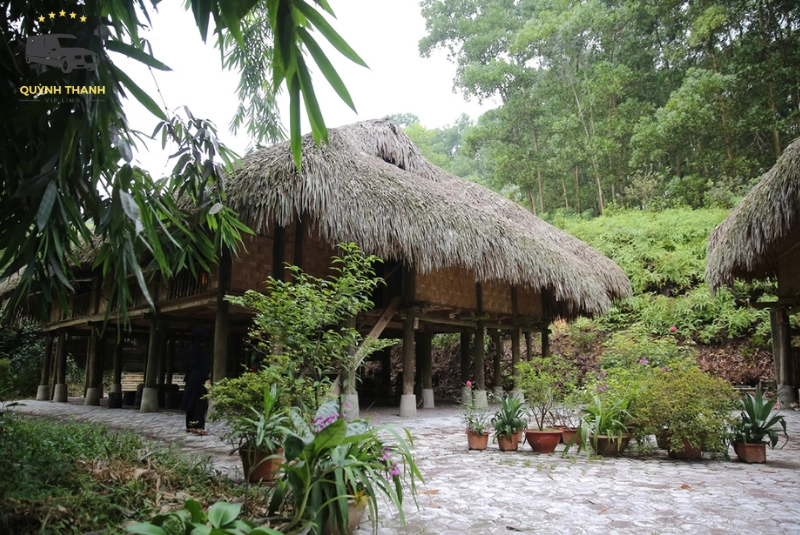 Những danh hiệu và giải thưởng quốc tế khẳng định vị thế