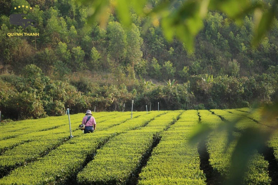 Hướng Dẫn Đi Bản Ven Bắc Giang: Ăn Gì, Ở Đâu, Chơi Gì?