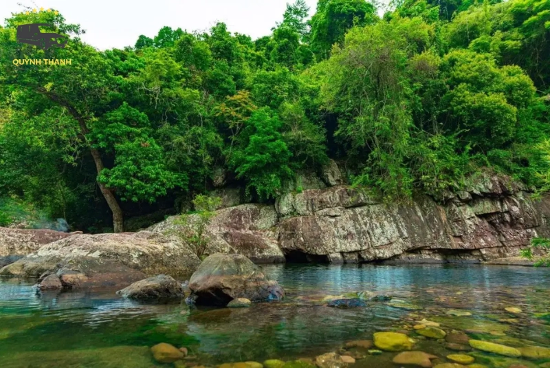 Tổng quan về khu rừng nguyên sinh và khu bảo tồn thiên nhiên Khe Rỗ