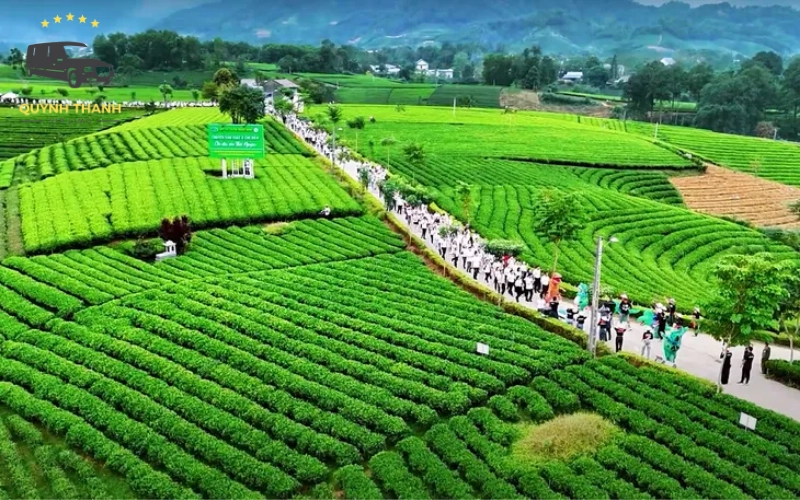 Các cơ sở sản xuất trà nổi tiếng