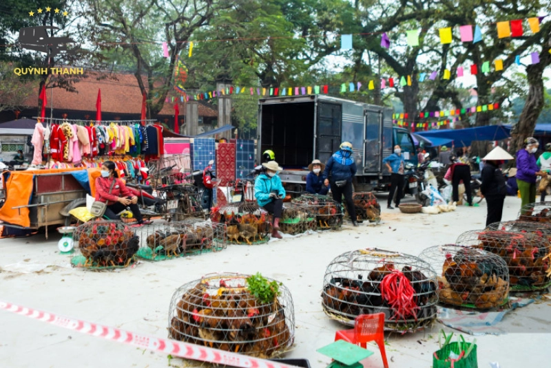 Các khu chợ nổi tiếng ở Bắc Giang chuyên bán đặc sản địa phương
